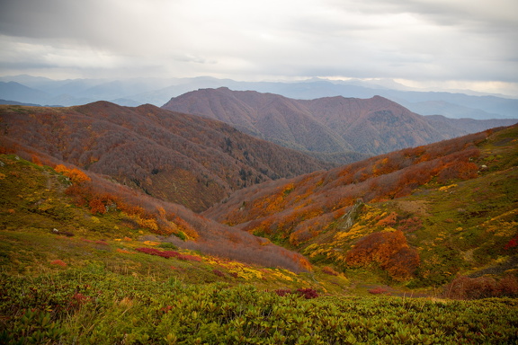 Грузия, Аджария